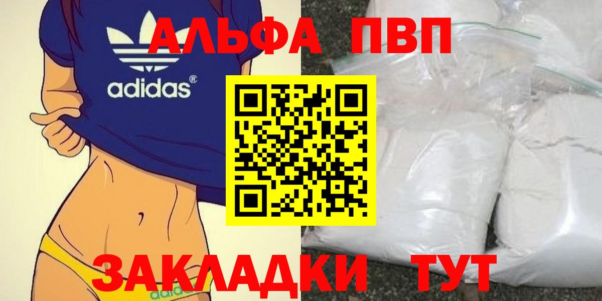 Alfa_PVP СК Сунжа