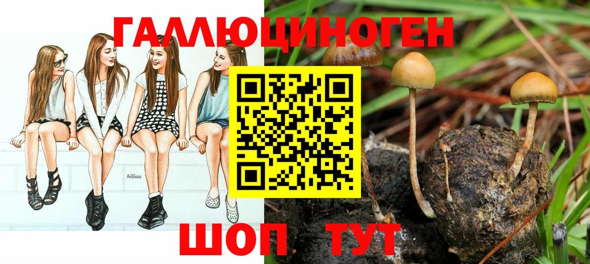 Сунжа  Псилоцибиновые грибы мухоморы  Галлюциногенные грибы мухоморы  Вход с VPN 