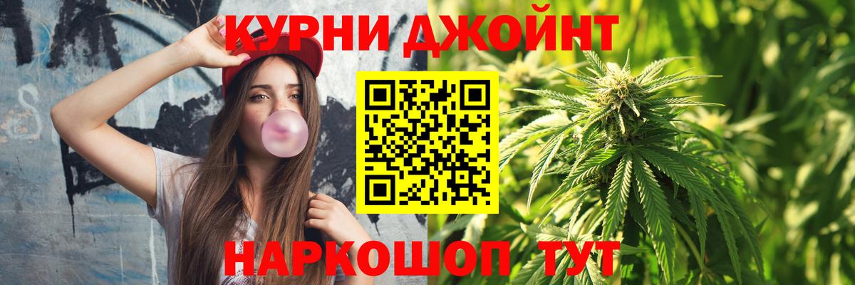 Бошки марихуана гибрид Сунжа